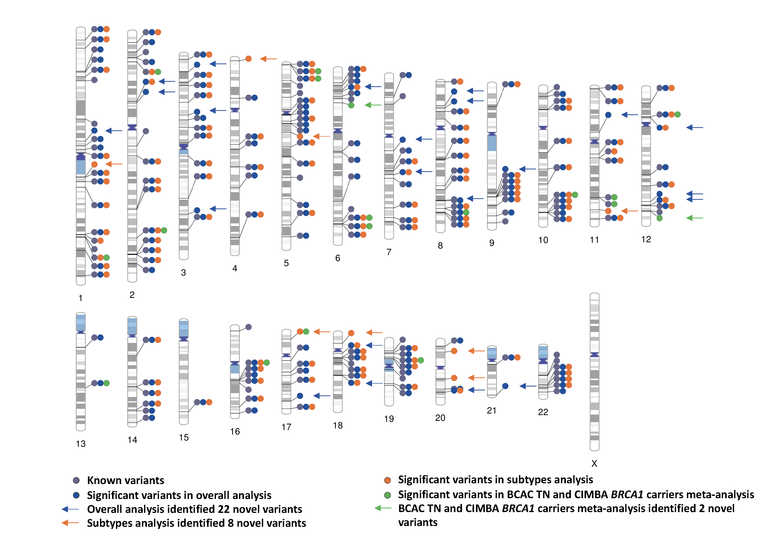 Genome-wide association study identifies 32 novel breast cancer ...