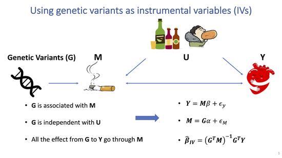 Robust Mendelian randomization methods incorporating weak and correlated instruments